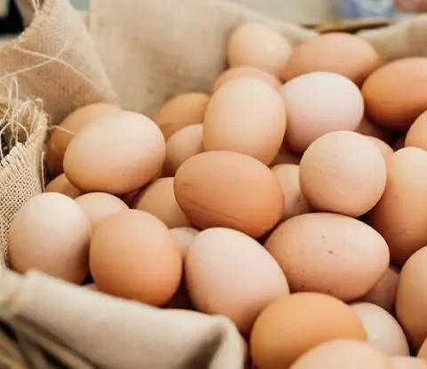 Free Range Eggs - 6