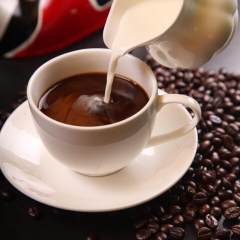 Full Cream Milk
