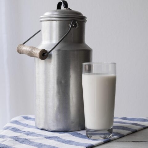 Skimmed Milk