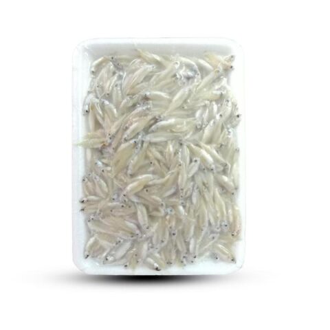 Keski Tray