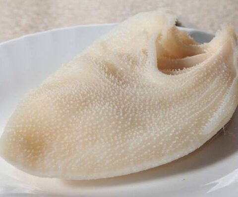 Beef Stomach / Tripe
