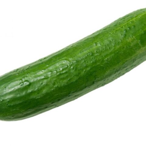 Persian Cucumber 1pc