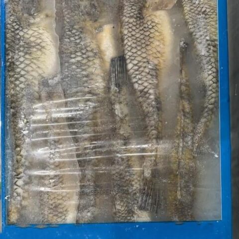 Baila Fish 500g