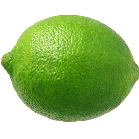 Green Lime 4pcs