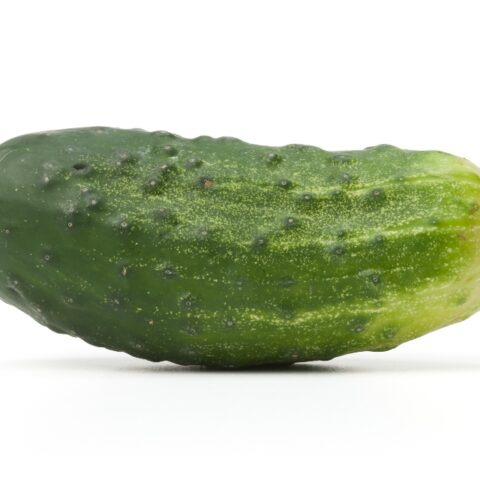 Reg. Cucumber (Kirby) 1pcs