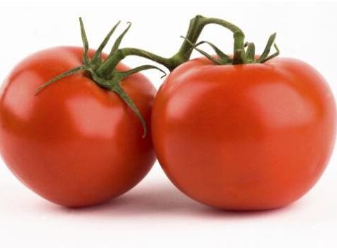 Tomato Stem 1pcs