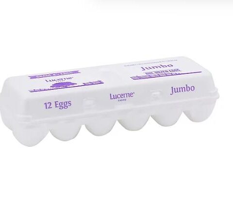Large Jumbo Egg