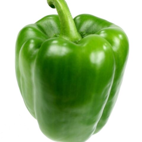Green Pepper 1pcs