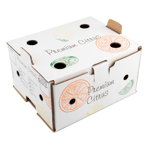Valencia Oranges Box 10 lb