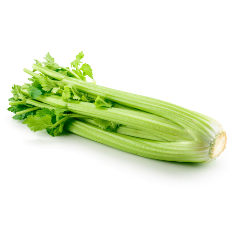 Celery 1 bunch