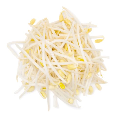 Soy Bean Sprouts 1 lb