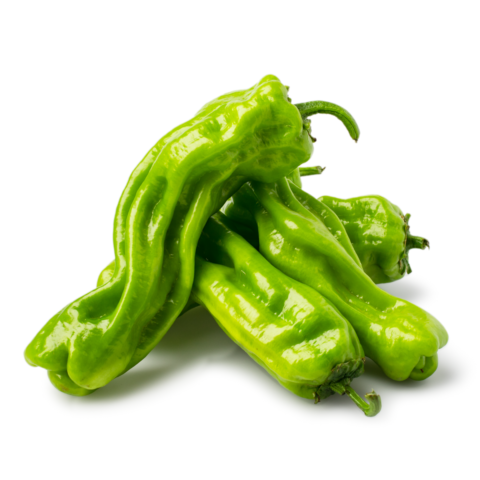 Horse Pepper 0.95-1.05 lb