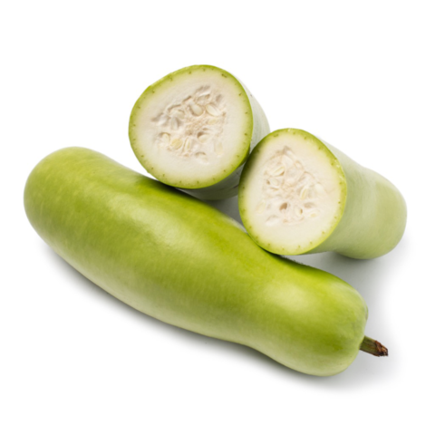 Opo Squash 2.4-2.8 lb