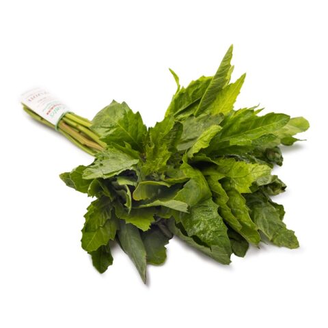Epazote 1 bunch
