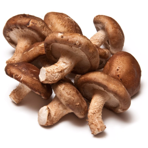 Fresh Shiitake 8 oz