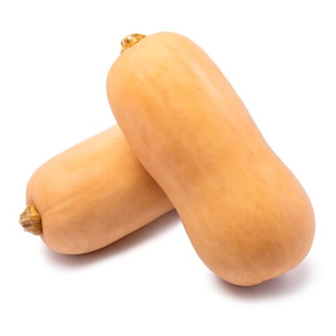 Butternut Squash 1 each