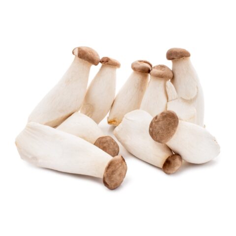 Organic Mini King Oyster Mushroom 300 g