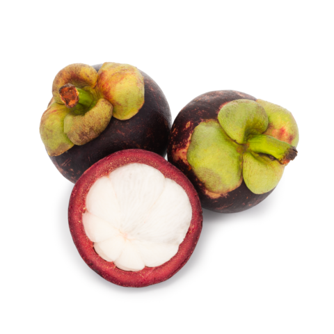 Fresh Mangosteen 1 bag 1.5-1.8 lb