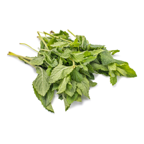 Mint 1 bunch