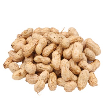 Fresh Raw Wet Shelled Peanuts 2 lb