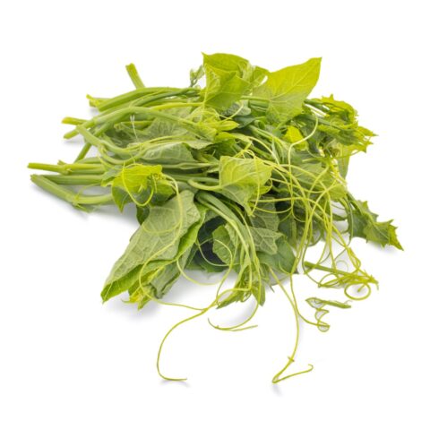 Chayote Leaf 1 lb