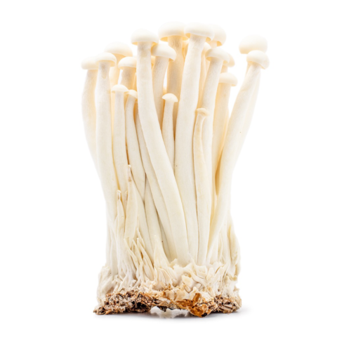 Seafood Mushroom 150 g