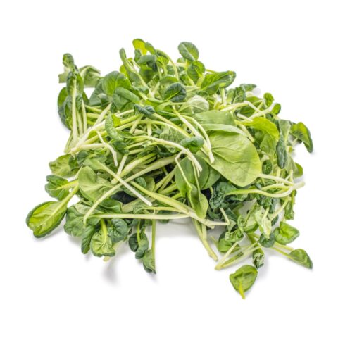 Ta Ku Mieu 1 lb