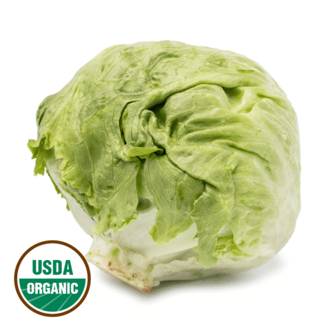 Organic Iceberg Lettuce 1 count