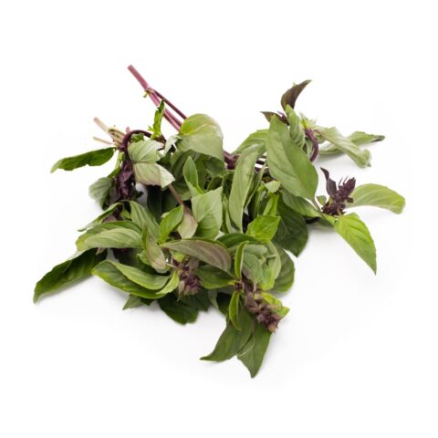 Thai Basil 0.75 oz