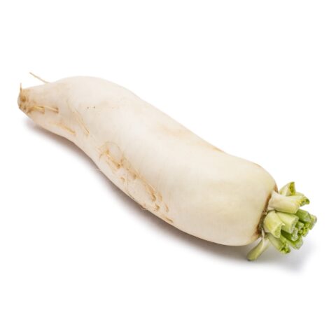Sweet Chinese White Radish 1.7-2.3 lb