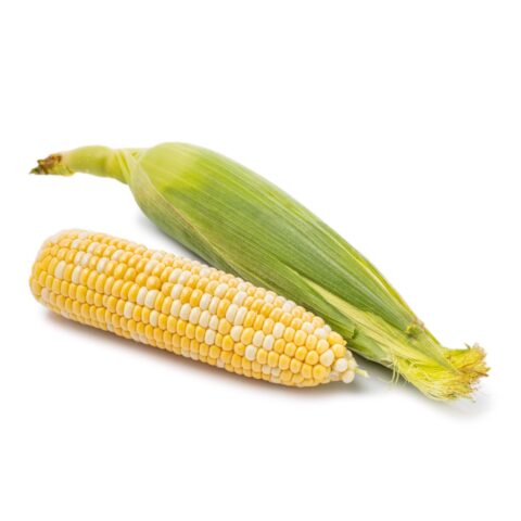 Bi-Color Corn 1 count