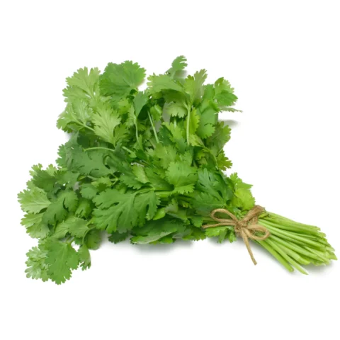 Cilantro-1Bunch