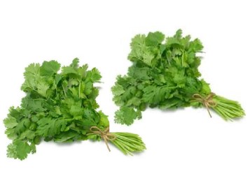 Cilantro 2 Bunch