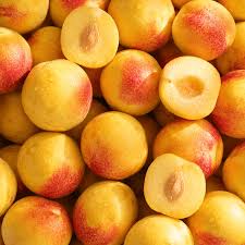 Gold Rush Plumcots 1 lb
