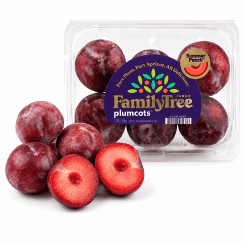 Summer Punch Plumcot 1 lb