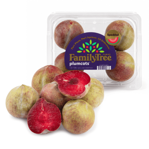 Flavor gator Plumcot 1 lb