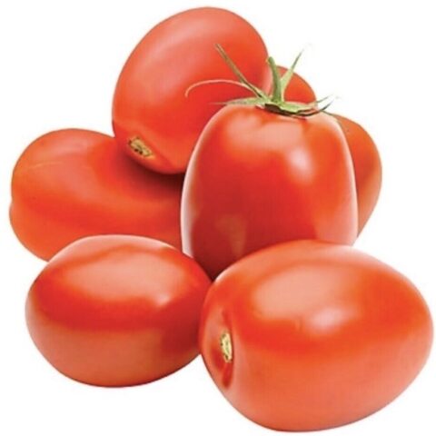 FRESH Roma Tomatoes 1LB