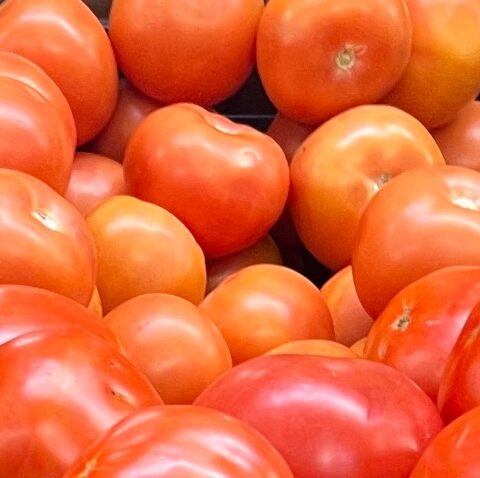 FRESH Tomatoes 1LB