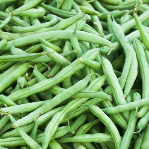 Green Beans 1LB