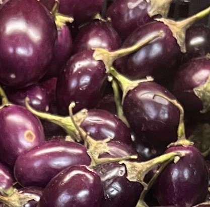 Indian Eggplant 1LB