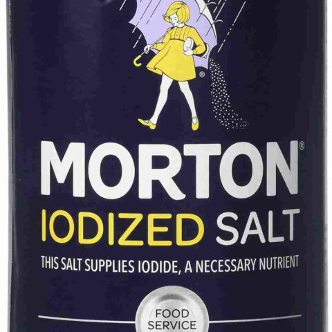MORTON Iodized Salt 737g