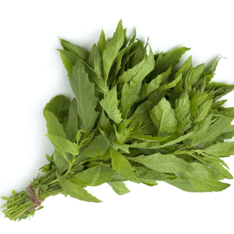 Epazote 1 bunch