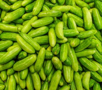 Tindora Ivy Gourd 1LB