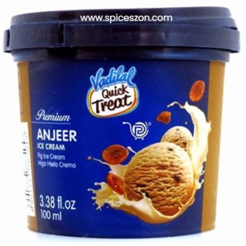 VADILAL Anjeer IceCream 100 ML