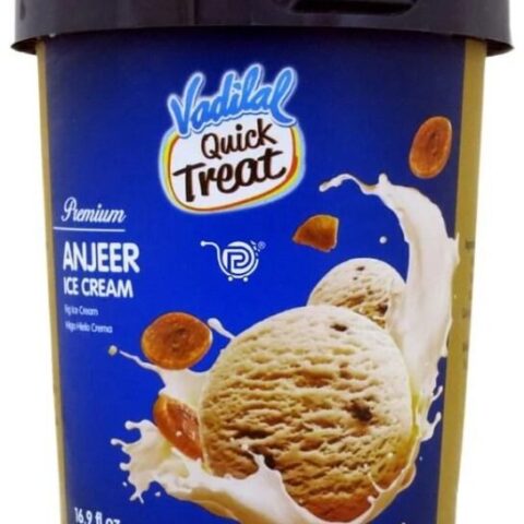 VADILAL Anjeer IceCream 500ML