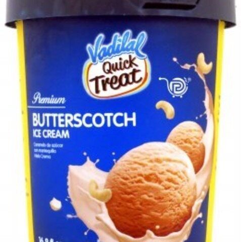 VADILAL ButterScotch IceCream 500 ML